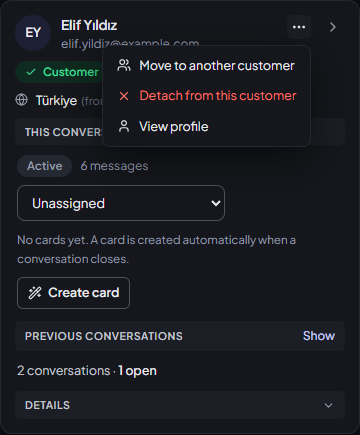 Person panel: a customer, the open “⋯” menu, this conversation and the previous conversations line